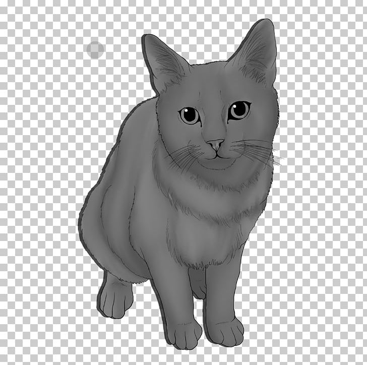 Korat Chartreux Burmese Cat Manx Cat Nebelung PNG, Clipart, Animal, Animals, Art, Asian, Black And White Free PNG Download