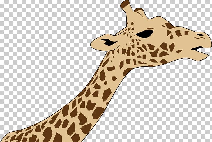 Northern Giraffe West African Giraffe PNG, Clipart, Animal Figure, Animals, Computer Icons, Fauna, Giraffe Free PNG Download