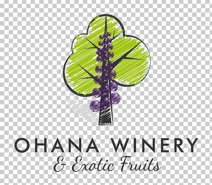 Paragon Theatre Ohana Winery And Exotic Fruits Common Grape Vine PNG, Clipart, Bar, Childers, Common Grape Vine, Espresso, Food Drinks Free PNG Download