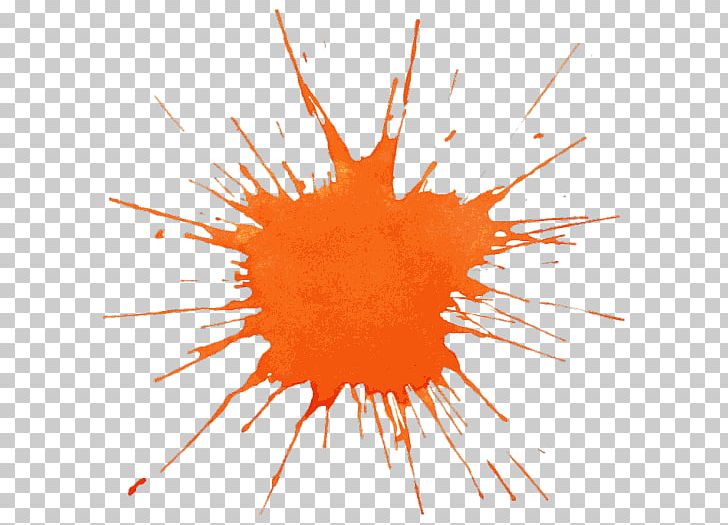 Watercolor Painting Splash Orange PNG, Clipart, Art, Battle Park Paintball, Brush, Circle, Color Free PNG Download