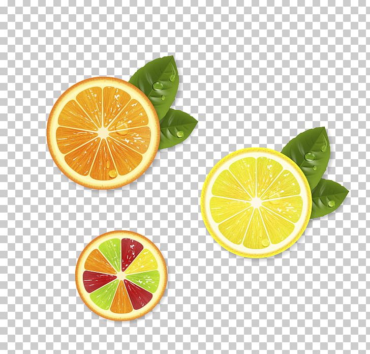 Auglis Lemon Pomelo PNG, Clipart, Advertising, Auglis, Citric Acid, Citrus, Color Free PNG Download