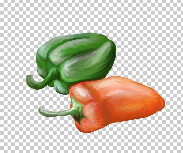 Bell Pepper Jalapexf1o Habanero Serrano Pepper Cayenne Pepper PNG, Clipart, Bell Peppers And Chili Peppers, Cartoon, Chili Pepper, Food, Fruit Free PNG Download