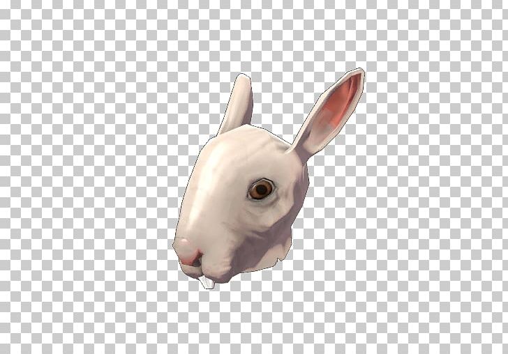 Domestic Rabbit Team Fortress 2 Hare Snout PNG, Clipart, Animals, Competition, Craft, Domestic Rabbit, Hare Free PNG Download