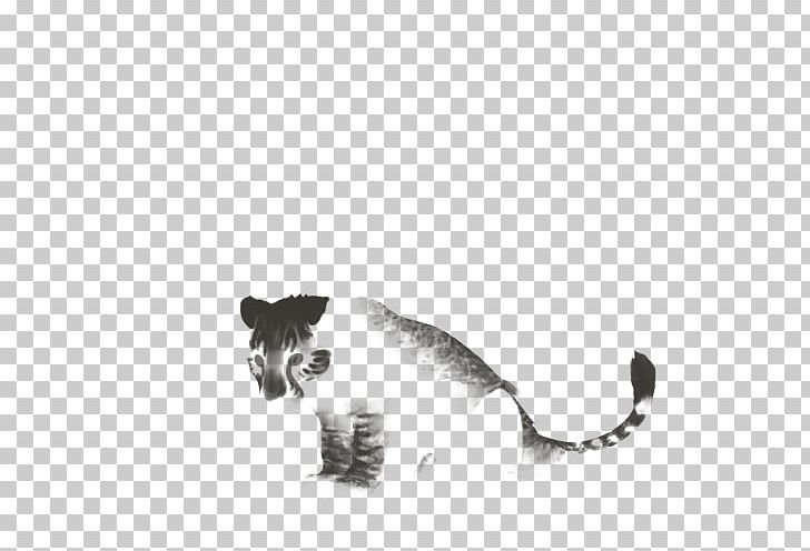 Kitten Whiskers Big Cat PNG, Clipart, Animals, Anjeer, Big Cat, Big Cats, Black Free PNG Download