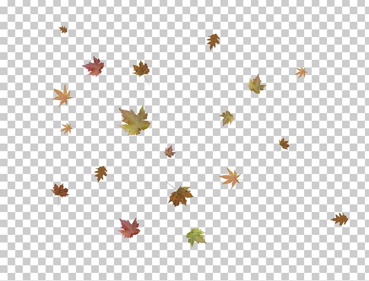 Leaf Photo Manipulation Tutorial PNG, Clipart, Advertising, Autumn, Autumn Leaves, Flower, Insect Free PNG Download