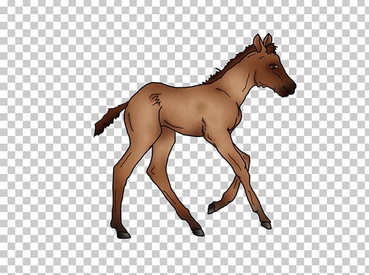 Mustang Foal Colt Stallion Mare PNG, Clipart, Adopt, Animal Figure, Bridle, Colt, Deviantart Free PNG Download