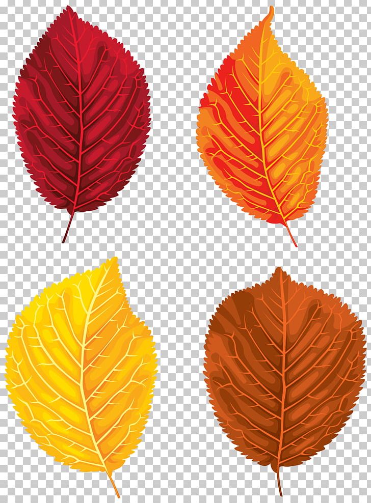 Santa Claus Autumn Leaf Color PNG, Clipart, Autumn, Autumn Leaf Color, Clip Art, Clipart, Fall Free PNG Download