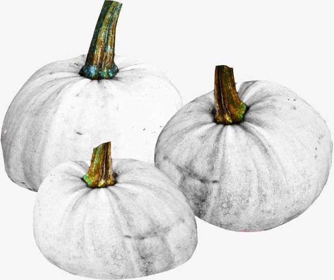 White Pumpkin Material Free To Pull PNG, Clipart, Free, Free Clipart, Free Clipart, Free To Pull, Halloween Free PNG Download