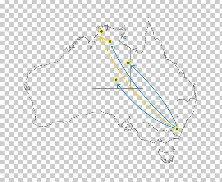 Australia Nasutitermes Walkeri Project Seahorse Big-belly Seahorse Coptotermes Acinaciformis PNG, Clipart, Angle, Area, Australia, Bigbelly Seahorse, Catalan Wikipedia Free PNG Download