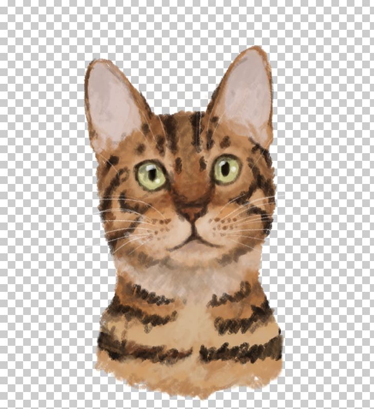 Bengal Cat California Spangled American Shorthair Toyger American Wirehair PNG, Clipart, American Wirehair, Bengal, Bengal Cat, California Spangled, Carnivoran Free PNG Download