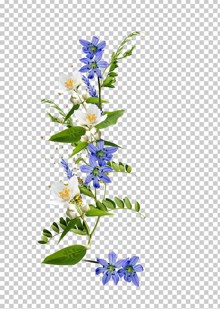 Cut Flowers Floral Design PNG, Clipart, Borage Family, Branch, Computer Cluster, Cut Flowers, Fairy Free PNG Download