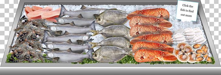 Fish Products Meat Frozen Food PNG, Clipart, Animal Source Foods, Cuisine, Fish, Fish Products, Food Free PNG Download