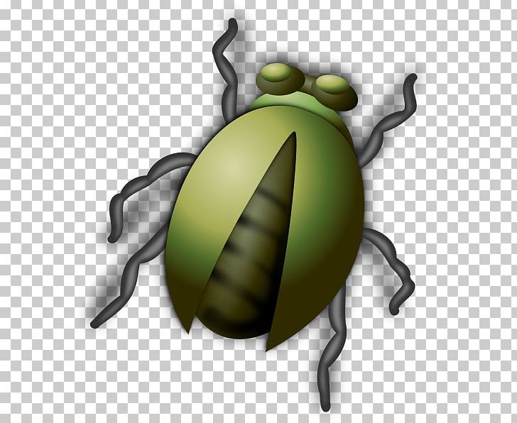 Insect PNG, Clipart, Animals, Arthropod, Bee, Beetle, Bug Free PNG Download
