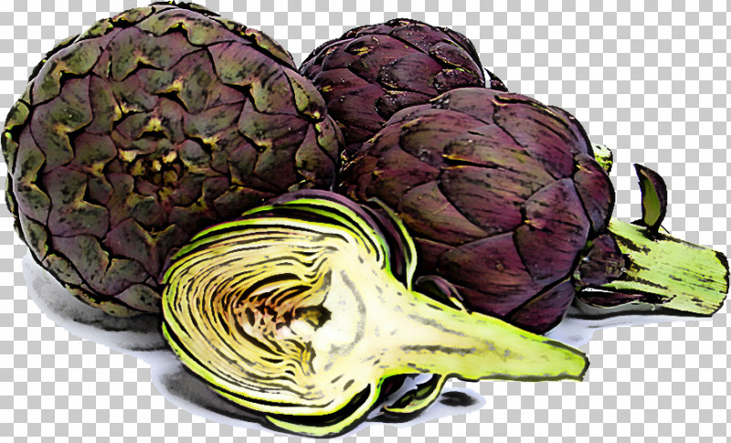 Artichoke Vegetable Food Cynara Cabbage PNG, Clipart, Artichoke, Cabbage, Carciofi Alla Giudia, Cynara, Food Free PNG Download