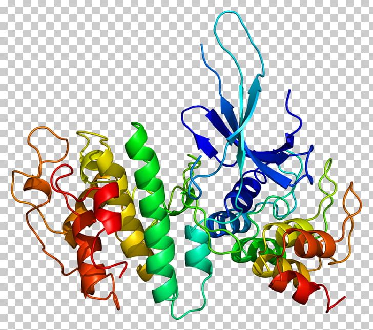 Cyclin-dependent Kinase 6 Cyclin-dependent Kinase Complex PNG, Clipart, Artwork, Cdk, Cell Cycle, Cyclin, Cyclin D Free PNG Download