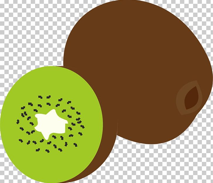 Kiwifruit Green PNG, Clipart, Circle, Education Science, Food, Fruit, Green Free PNG Download