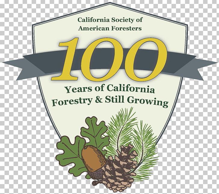 Northern California Southern California Society Of American Foresters Forestry Arborist PNG, Clipart, Arborist, Brand, California, Food, Forest Free PNG Download