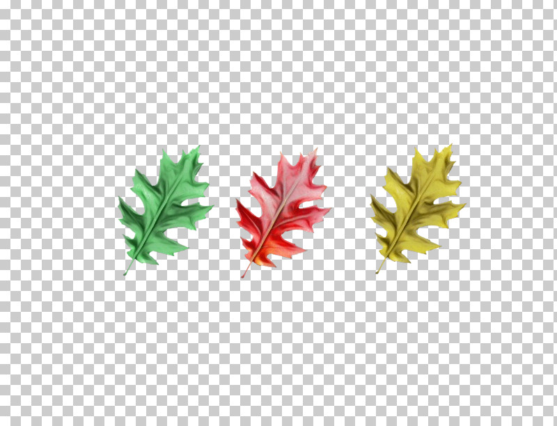 Leaf Maple Leaf / M Meter Tree Plant PNG, Clipart, Biology, Leaf, Maple Leaf M, Meter, Paint Free PNG Download