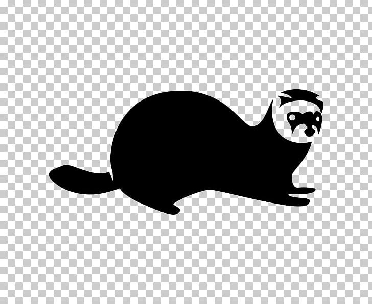 Black-footed Ferret Whiskers Cat PNG, Clipart, Animals, Black, Black And White, Blackfooted Ferret, Carnivoran Free PNG Download