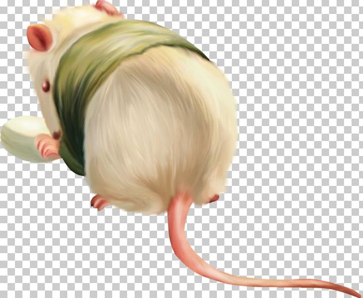 Computer Mouse Rodent Laboratory Rat House Mouse PNG, Clipart, Animal, Art, Child, Decoration Image, Encapsulated Postscript Free PNG Download