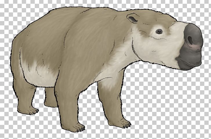 Diprotodontia Polar Bear Wombat Metatheria PNG, Clipart, Animal, Animal Figure, Animals, Art, Bear Free PNG Download