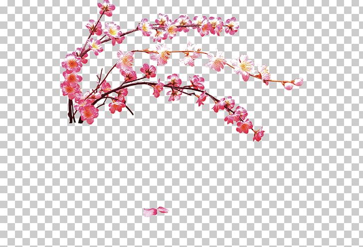 Dreamcatcher Flower PNG, Clipart, Blossom Vector, Branch, Cherry Blossoms, Color, Designer Free PNG Download