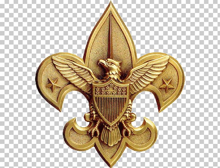 Eagle Scout Service Project Boy Scouts Of America World Scout Emblem Scouting PNG, Clipart, Badge, Boy Scouts Of America, Brass, Cub Scout, Cub Scouting Free PNG Download