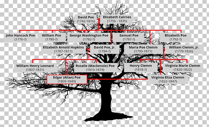 Family Tree Diagram Analysis PNG, Clipart, Analysis, Diagram, Edgar Allan Poe, Family, Family Tree Free PNG Download