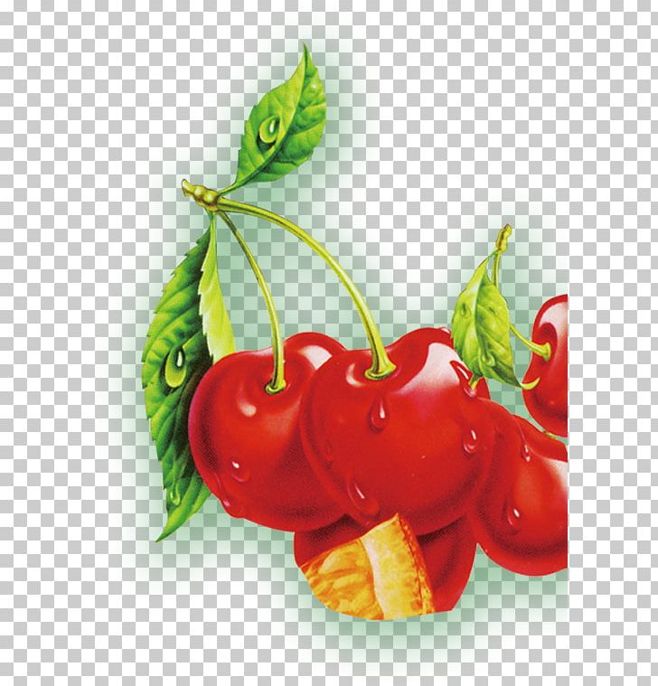 Tomato Strawberry Diet Food Garnish PNG, Clipart, Bell Pepper, Cherries, Cherry, Cherry Blossom, Cherry Blossoms Free PNG Download