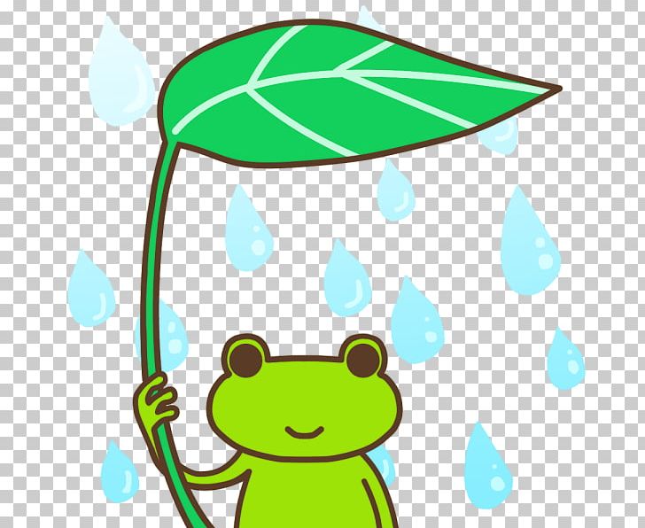 Tree Frog Leaf PNG, Clipart, Amphibian, Animal, Animals, Animal Train, Area Free PNG Download