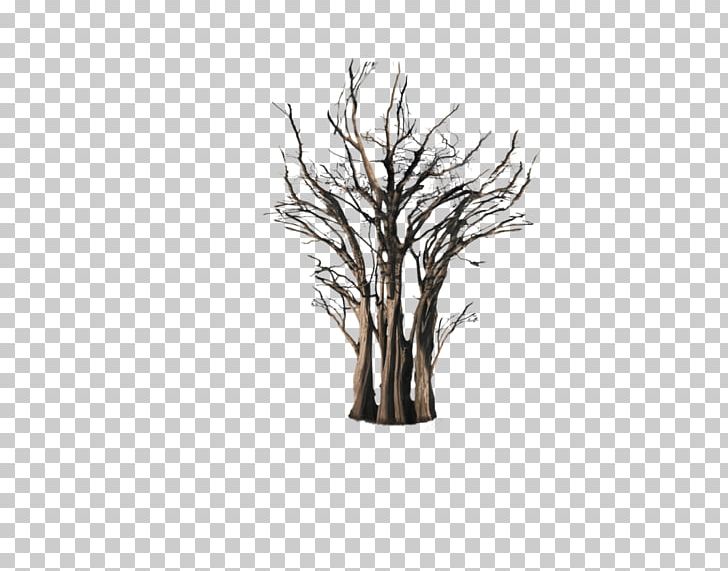 Tree Trunk Root Branch PNG, Clipart, Black And White, Branch, Deviantart, Flowerpot, Nature Free PNG Download