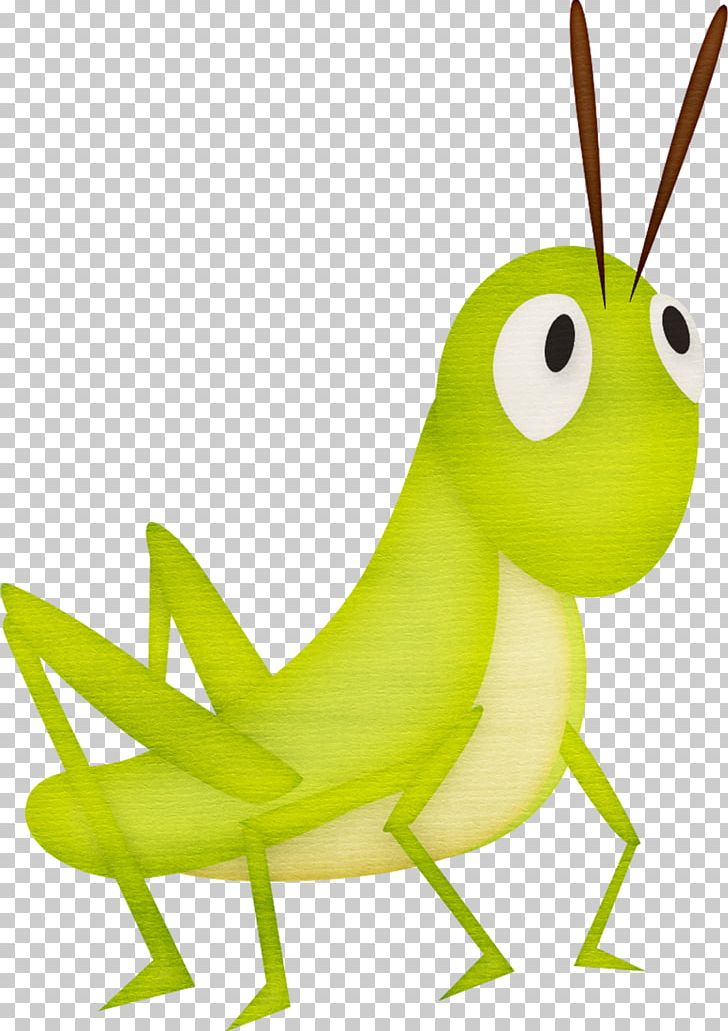 Grasshopper Cartoon PNG, Clipart, Computer Icons, Cricket, Fauna, Grass,  Hand Drawn Free PNG Download