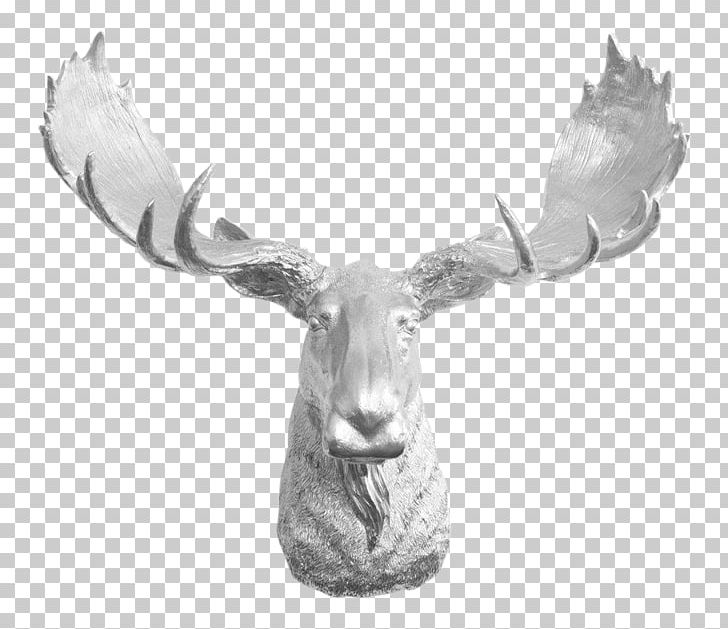 Moose Reindeer Antler Elk PNG, Clipart, Accent Wall, Alberta, Animal, Animals, Antler Free PNG Download