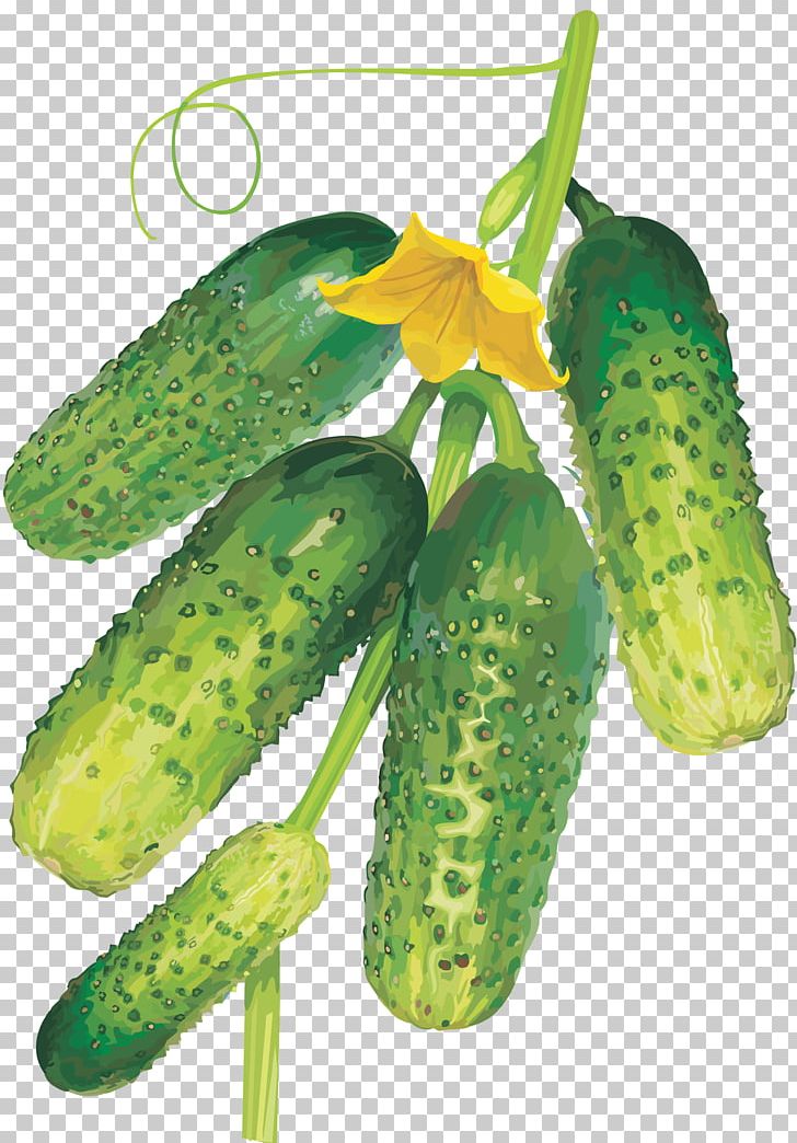 Pickled Cucumber Horned Melon Tomato Muskmelon PNG, Clipart, Brassica Oleracea, Cucumber, Cucumber Gourd And Melon Family, Cucumis, Food Free PNG Download