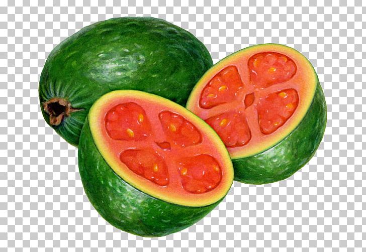 Watermelon Guava Fruit Avocado Tomato PNG, Clipart, Avocado, Citrullus, Citrus, Creative, Creative Background Free PNG Download