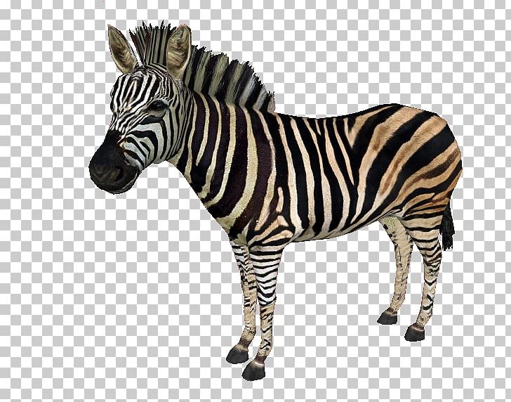 Zoo Tycoon 2: Extinct Animals Quagga Horses Chapman's Zebra PNG, Clipart, Animal Figure, Animals, Art, Chapmans Zebra, Doodle Free PNG Download