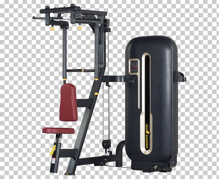 Fitness Centre Bodybuilding Dumbbell Olympic Weightlifting PNG, Clipart, Automotive Exterior, Bench Press, Bodybuilding, Bronze Gym, Dumbbell Free PNG Download