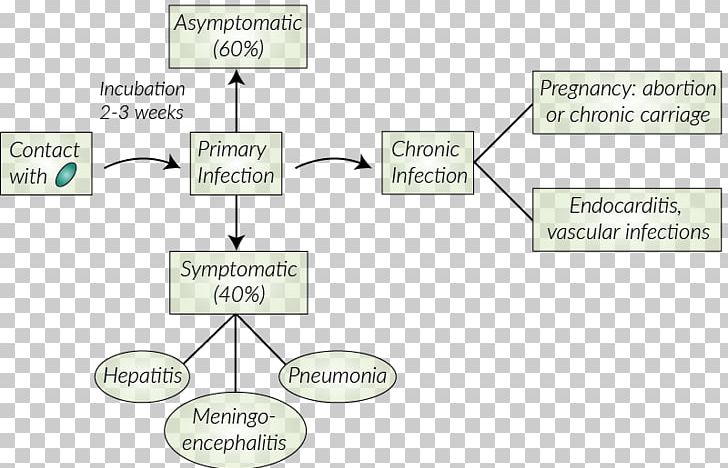 Q Fever Coxiella Burnetii Disease Symptom Infection PNG, Clipart, Agriculture, Angle, Area, Chronic Fatigue, Communication Free PNG Download