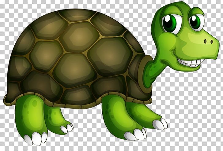 Turtle Illustration PNG, Clipart, Animal, Animals, Cartoon, Drawing, Fauna Free PNG Download