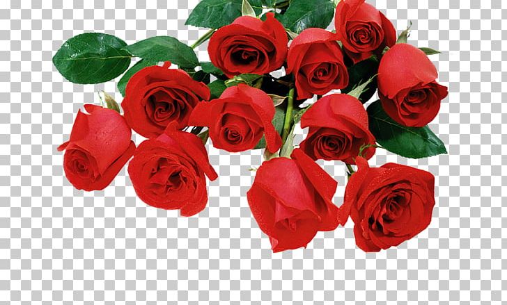 Valentine's Day Desktop Rose PNG, Clipart, 2017, Artificial Flower, Cut Flowers, Desktop Wallpaper, Floral Design Free PNG Download