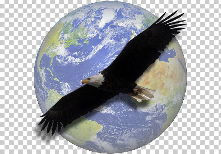 World Religion Polytheism Hinduism Islam PNG, Clipart, Accipitriformes, Bald Eagle, Beak, Bird, Bird Of Prey Free PNG Download