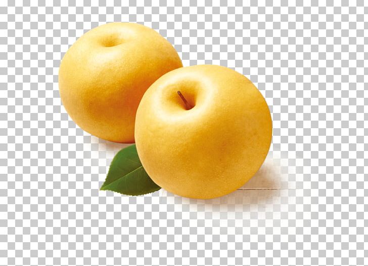 Apple Asian Pear Fuji Food Fruit PNG, Clipart, Apple, Asian Pear, Diet Food, Food, Fruit Free PNG Download