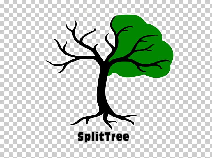 Branch Tree PNG, Clipart, Amphibian, Area, Artwork, Branch, Cartoon Free PNG Download