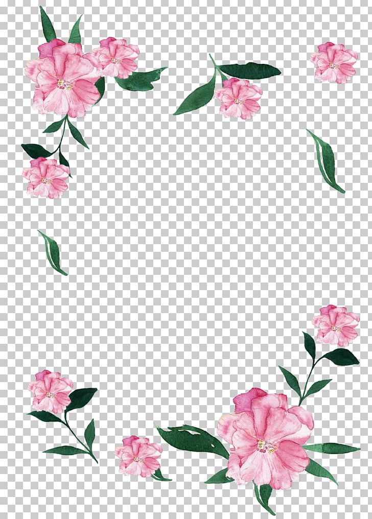 Cut Flowers Color Skin Innisfree PNG, Clipart, Amorepacific Corporation, Beach Rose, Blossom, Branch, Color Free PNG Download
