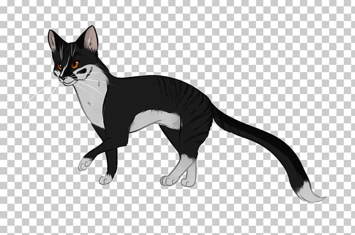 Whiskers Kitten Domestic Short-haired Cat Dog PNG, Clipart, Animals, Canidae, Carnivoran, Cat, Cat Like Mammal Free PNG Download
