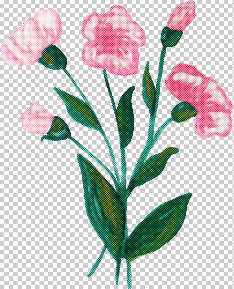 Flower Plant Pink Pedicel Cut Flowers PNG, Clipart, Cut Flowers, Flower, Pedicel, Petal, Pink Free PNG Download