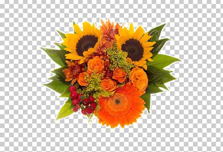 Common Sunflower Transvaal Daisy Flower Bouquet Wedding PNG, Clipart, Bride, Carnation, Centrepiece, Common Daisy, Common Sunflower Free PNG Download