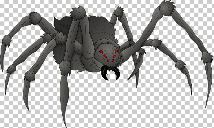 Spider Drawing PNG, Clipart, Arachnid, Art, Arthropod, Black Widow, Cartoon Free PNG Download
