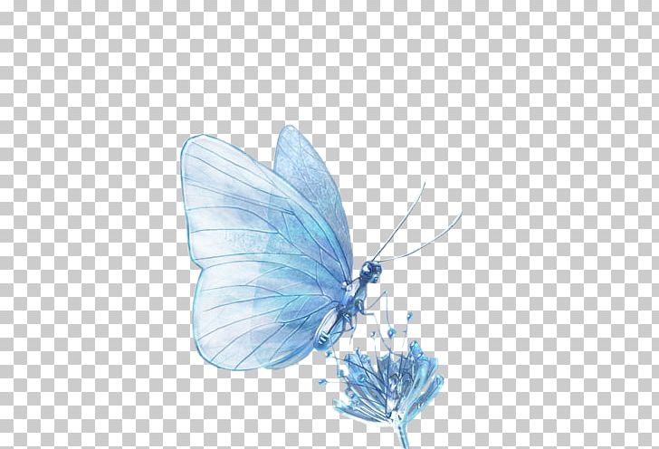 Blog Butterflies And Moths Photography PhotoFiltre PNG, Clipart, Arabesques, Arthropod, Azure, Blog, Blue Free PNG Download