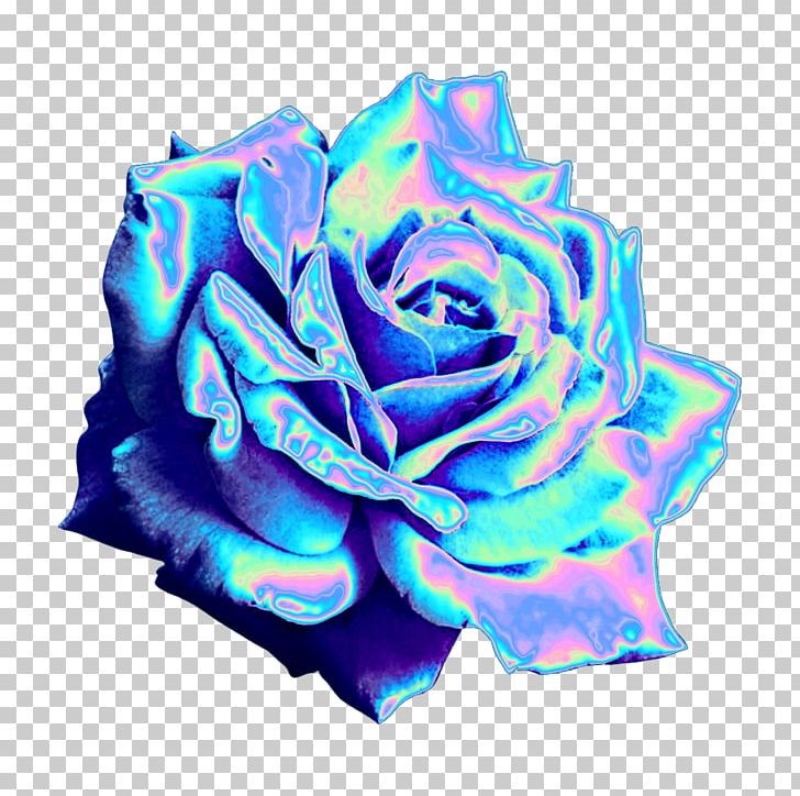 Garden Roses Blue Rose Sticker PicsArt Photo Studio PNG, Clipart, Aqua, Blue, Blue Rose, Cobalt Blue, Cut Flowers Free PNG Download